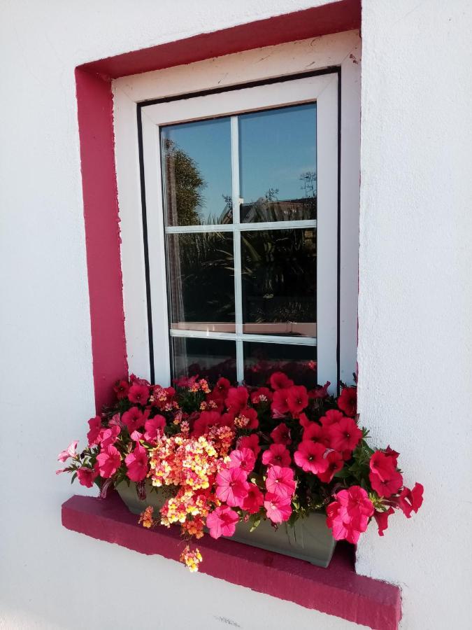 B&B The Red Door Cottage Donegal Town Exterior photo
